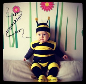 vestito carnevale ape