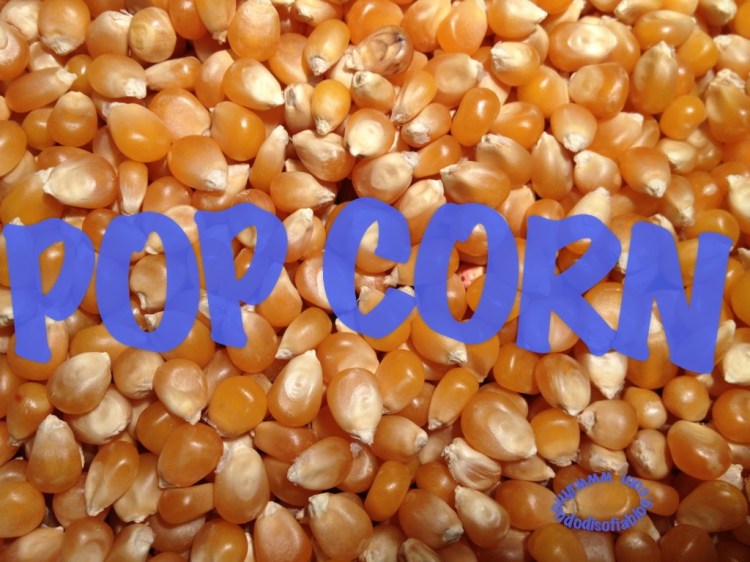 POP CORN il mondo di sofia blog