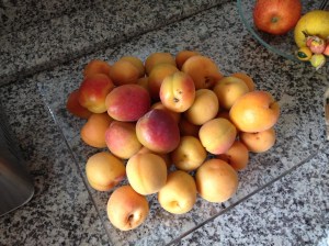 IMG torta crostata di albicocche