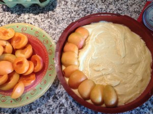 IMG torta crostata di albicocche