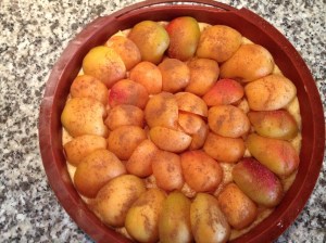 IMG torta crostata di albicocche