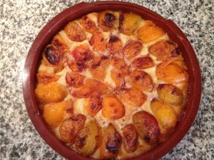 IMG_4475IMG torta crostata di albicocche