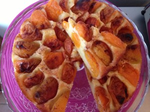 IMG torta crostata di albicocche