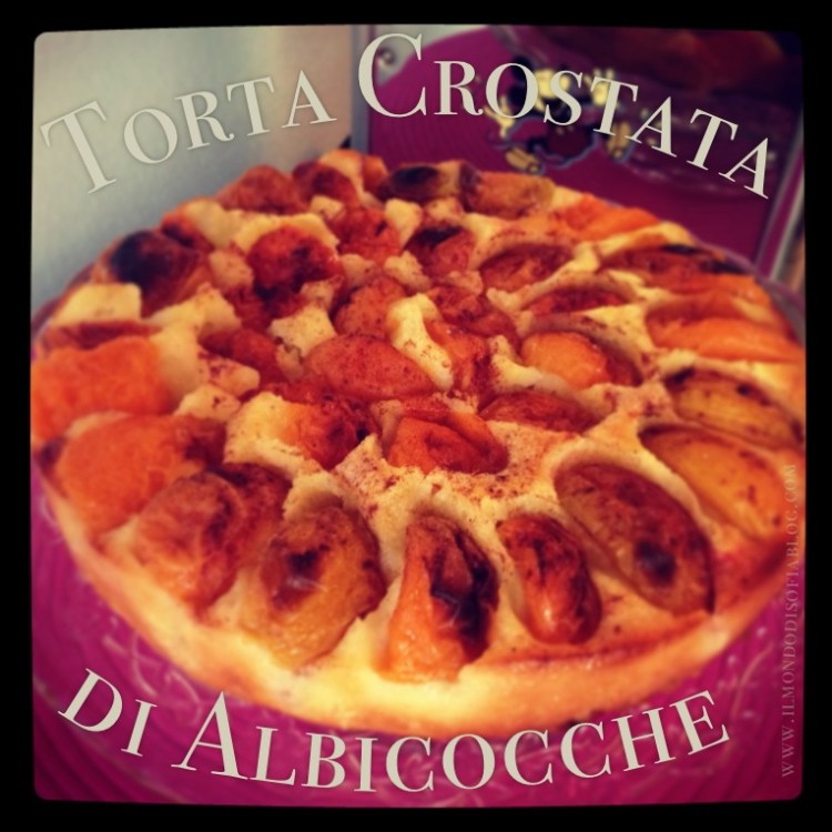 IMG torta crostata di albicocche