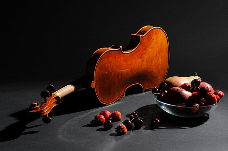 violino sofia vettori