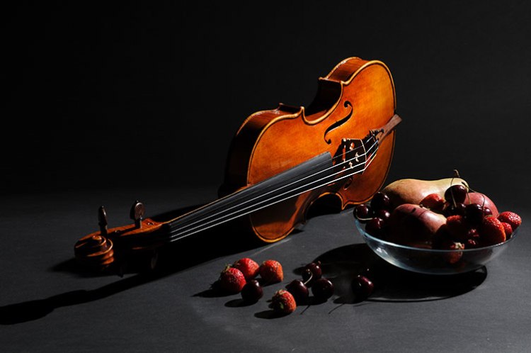 violino sofia vettori