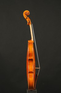 violino sofia vettori