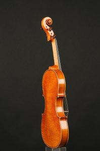 violino sofia vettori