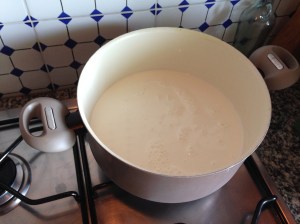 besciamella facilissima