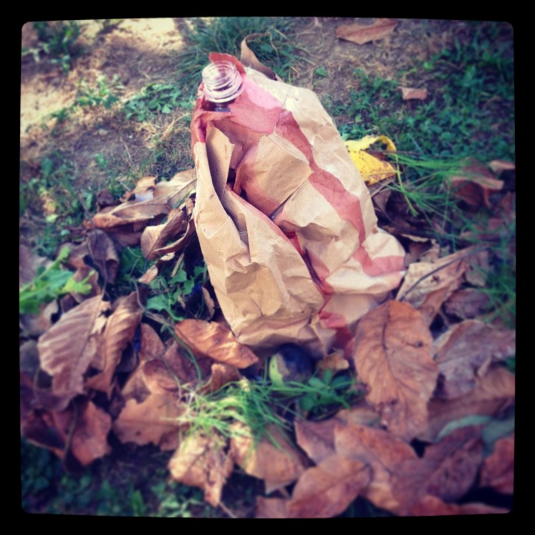 un vulcano in giardino