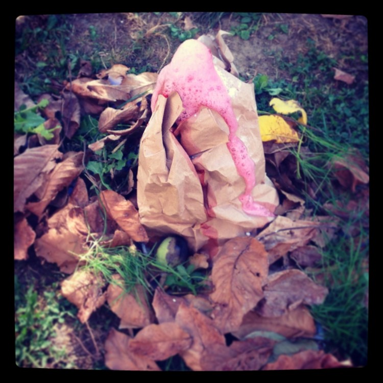 un vulcano in giardino