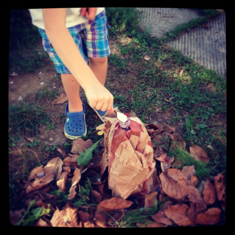 un vulcano in giardino